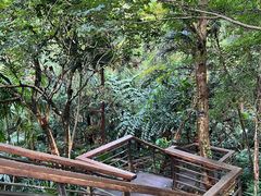 -深圳仙湖植物园