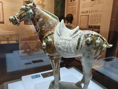-衢州市博物馆
