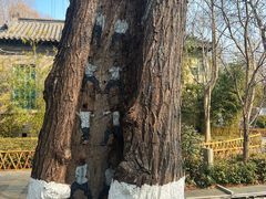 -济南大明湖景区