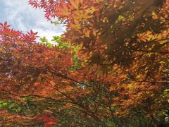 -阿哈湖国家湿地公园