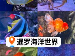 -暹罗海洋世界