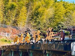 -宁波浙东大竹海景区