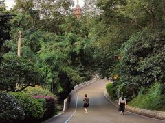 -北极阁公园