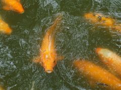 android_upload_pic-陈云纪念馆