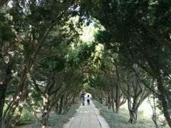 -洛阳古墓博物馆