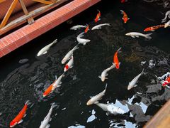 -侠成水上农庄(工业大道店)