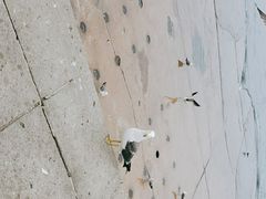 -星海广场