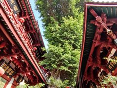 -叩齿古寺