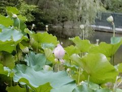 -浙江西子宾馆·瑶园咖啡厅