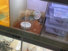 -嘉兴海底世界