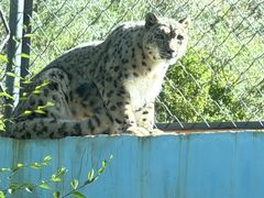 -青藏高原野生动物园