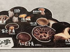 -芸山季·云南野生菌火锅(宝能环球汇店)