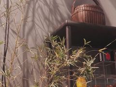 -南宁国际会展中心(会展东博文化旅游区)