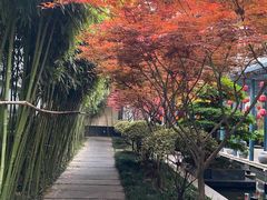 -湖滨客舍·湖北菜
