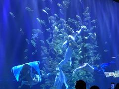 -华夏文旅西安度假区