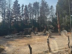 -上海野生动物园老虎餐厅