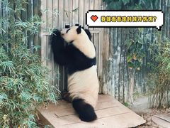 -广州动物园