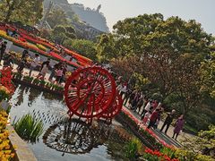 -南山植物园