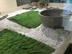 -善水汇汤泉洗浴
