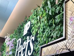 -Peet's Coffee皮爷咖啡(豫园店)