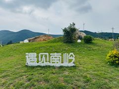 -大姆山草场