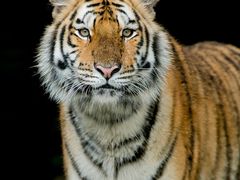 -无锡市市民中心