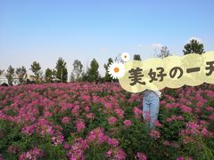 -花博汇(知音花月夜)