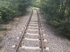 -西青郊野公园