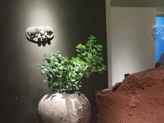 -黄山老妈·土菜(碧桂园店)