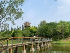 -东郊湿地公园