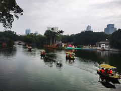 -荔湾湖公园