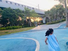 -宝安西湾红树林湿地公园