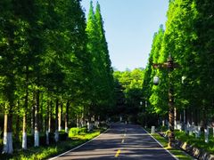 -宜兴龙背山森林公园