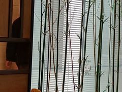 -利苑酒家(合景国际金融广场店)