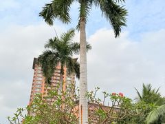 -三亚湾红树林国际会展中心(演出售票)