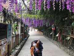 -呀路古热带植物园