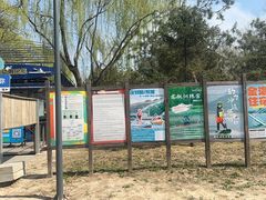 -WhaleSports户外水上运动俱乐部(朝阳公园店)