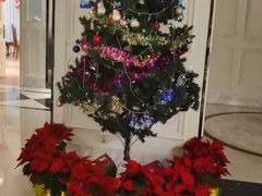 -宝燕壹号(长寿店)