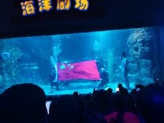 -南昌海洋公园