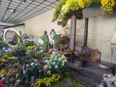 -杭州植物园