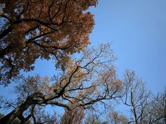 -宁波市保国寺古建筑博物馆