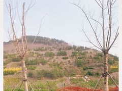 -西海岸生态观光园