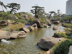 -罗红摄影艺术馆