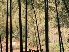 -千泷沟大瀑布旅游区