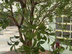 -静耳元気采耳·按摩·SPA(万象前海店)