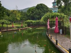 -无锡动物园·太湖欢乐园