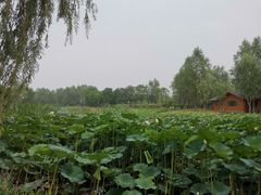 -东郊湿地公园