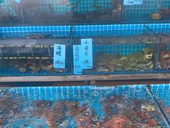 -瑶记海鲜餐厅(西涌店)