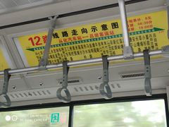 -广州市流溪河国家森林公园