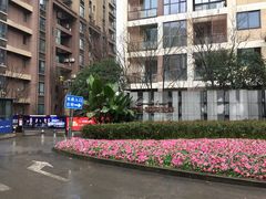 -龙湖·春森彼岸